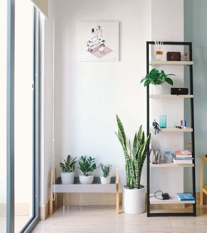 services-02 Bright, modern interior with minimal decor, featuring lush houseplants, shelving, and natural light.
